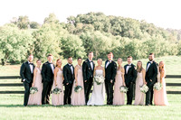 Family and Wedding Party
