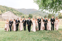 Family and Wedding Party