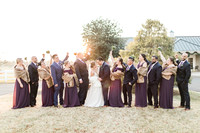 Family and Wedding Party
